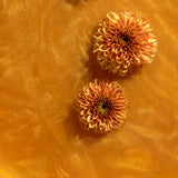 Better Tea Co - Golden Day Dream ( edible glitter infused tea )