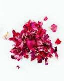FN Lemons - Simply Blush - Edible Florets
