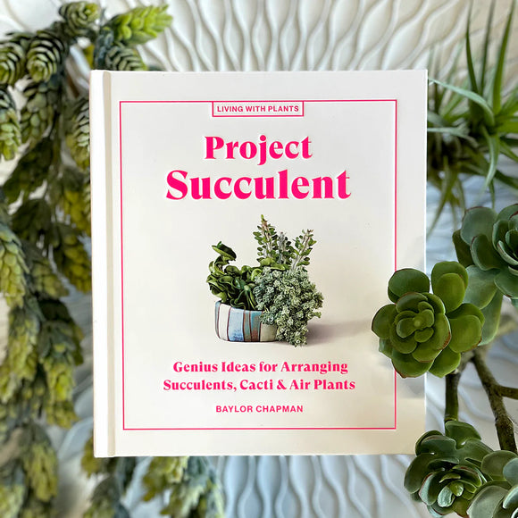 Project Succulent _ Living With Plants