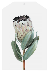 Father Rabbit Gift Tag - Protea